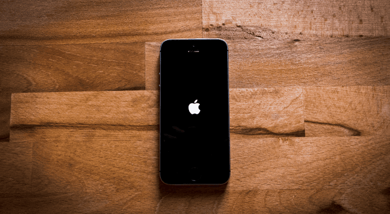 iPhone internal components showing battery